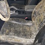 car mold remediation in Houston
